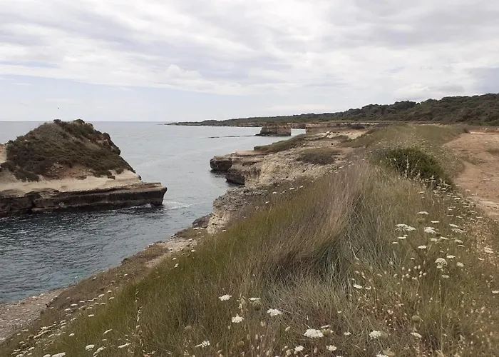 Col Cuore In Centro Di *