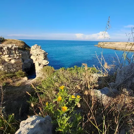 Col Cuore In Centro Di *